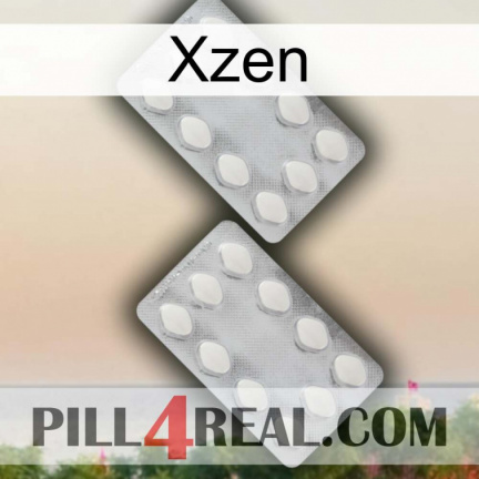 Xzen 17